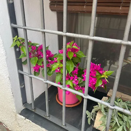 Casa de Férias La Cuadra De Anita Mecina Fondales