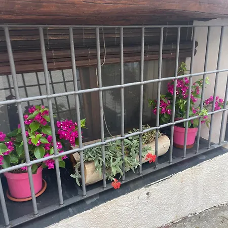 La Cuadra De Anita Mecina Fondales